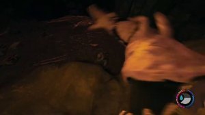 ПОПАЛ В ЛАБОРАТОРИЮ // THE FOREST