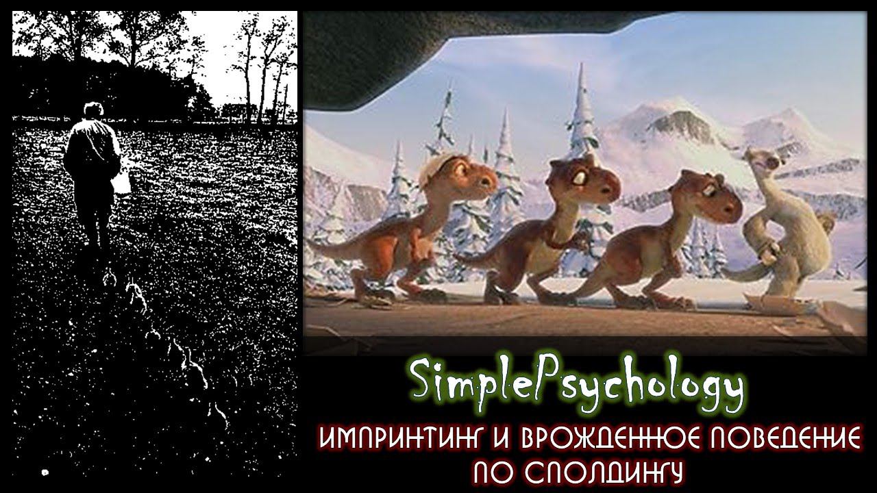 История зоопсихологии. Импринтинг и врожденное поведение по Сполдингу.