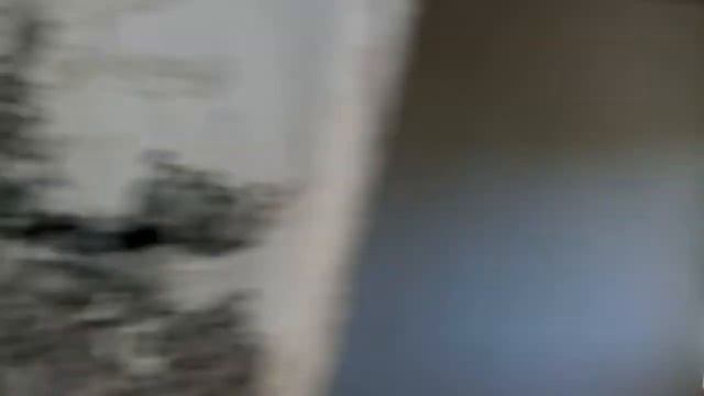 ВФ Сочи дом на Соболевке за 7.5 млн смотреть онлайн