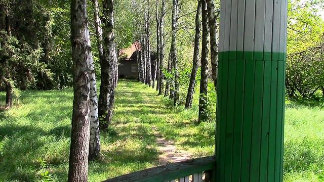 Лесные истории. forest stories смотреть онлайн