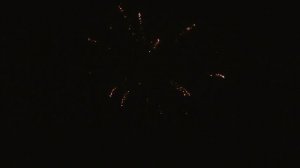 Огненный цветок (0,8х49) (C 007)