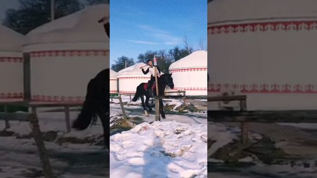 Острый меч ⚔️ #меч #лошадь #конь #каскадёр #horse #stunt смотреть онлайн