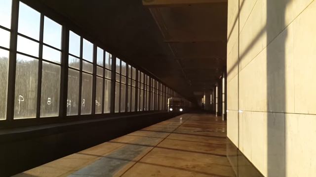 Ретропоезд "Сокольники" на станции Воробьёвы горы смотреть онлайн