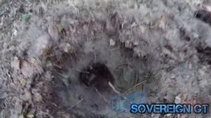 Обзор металлодетектора SOVEREIGN GT