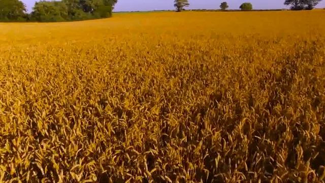 РАЗВИТИЕ АЛТАЯ В XIX ВЕКЕ