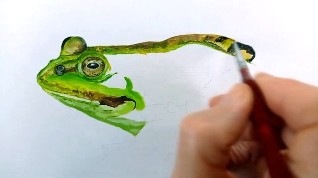 Как нарисовать жабу смотреть онлайн