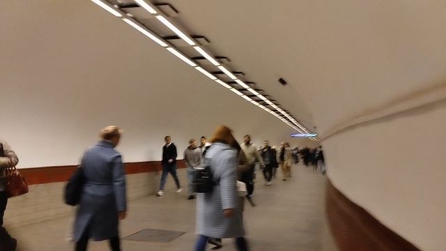 Санкт-Петербургское метро: обзор станции Площадь Восстания и Маяковская.