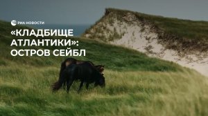 Загадочный остров Сейбл