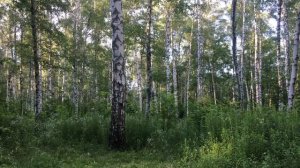 Рогатка для рыбалки и охоты | Slingshot  | Тренируюсь пробую стрелять