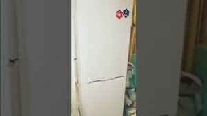 Обзор на холодильник SNAIGE RF47