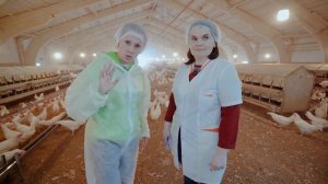 ПОЧЕМУ НА ПЫШМИНСКОЙ ПТИЦЕФАБРИКЕ САМЫЕ СЧАСТЛИВЫЕ КУРОЧКИ | Расследование Юлии Бутаковой