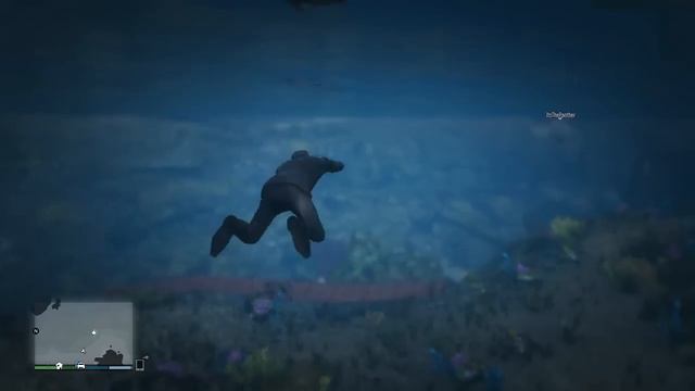 GTA 5 Online Secrets - NEW Secret SHARK Spawn Location in GTA 5 Online! (Glitches & Tricks) смотреть онлайн