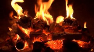 10 фактов про тульп.