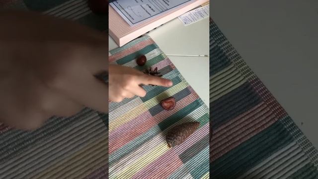 Игра для детей: Я - не 