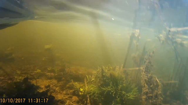 Рыбалка. Ловля раков осенью смотреть онлайн