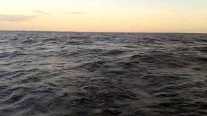 20.07.2014. Ладога и Сапсан 380.