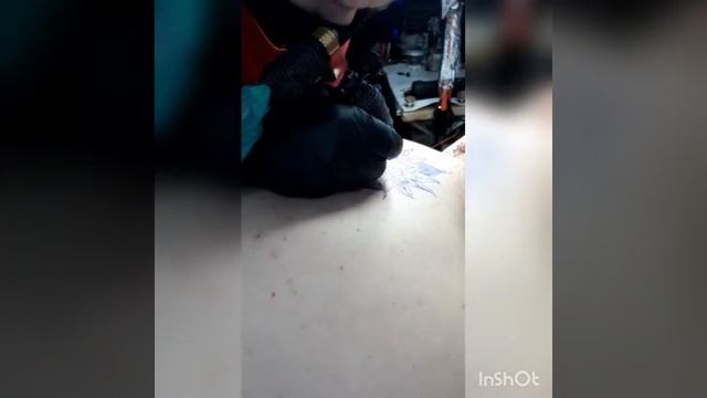 Лайнворк лотос смотреть онлайн