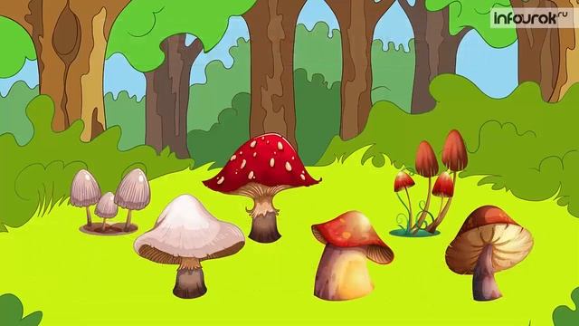 Сбережем удивительный мир растений и животных. Дошкольники Окружающий мир смотреть онлайн