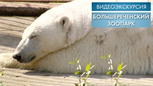 Большереченский зоопарк | Видеоэкскурсия