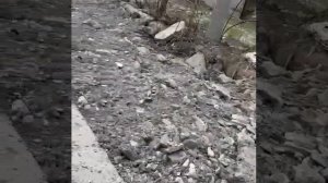 #Туапсинский район