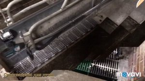 Щелевые полы на свиноферме!Навозоудаление на свиноферме!розмер ванны дня нафозв