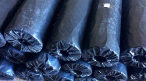 Выращивание овощей и бахчи на капельном поливе. Купили мульчирующую пленку.