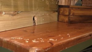 Cat Games : Mouse Watch TV ~ Mice for Cats to Catch ?