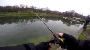 Щука на мульт Shimano Zodias до 12гр и Daiwa T3-SV