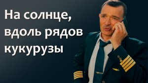 На солнце, вдоль рядов кукурузы трейлер 2023