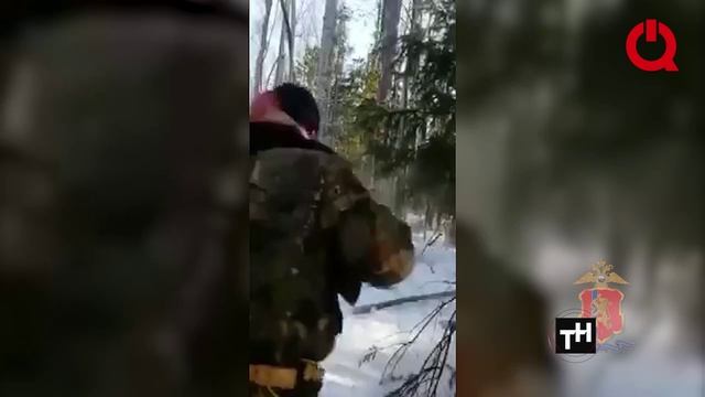 Хроника происшествий в Красноярске и крае