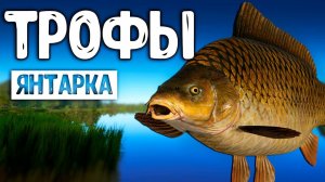 RF4 ТРОФЕЙ ЗА ТРОФЕЕМ ТОЛЬКО ТАК #рр4