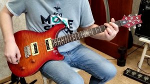 PRS SE Custom 22