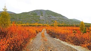 Озеро Джека Лондона: дорога домой