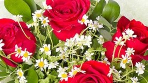 любимые цветы