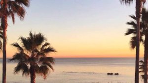 Леша Калина 🍇 - Мальчишка 2021