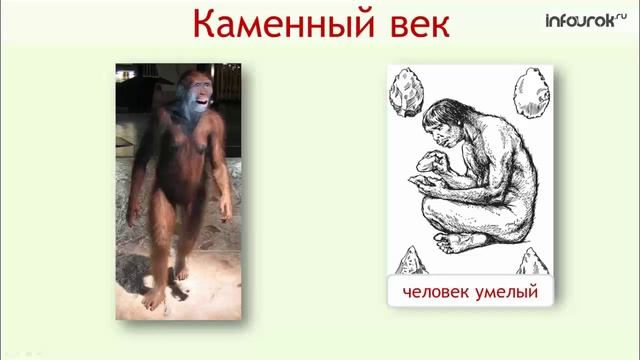 Древнейшие предки человека