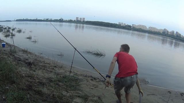 Попали на хороший клев СТЕРЛЯДИ, и Леща! В центре Омска!Прямо в парке! смотреть онлайн
