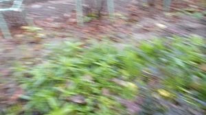 Завершаем дачный сезон.