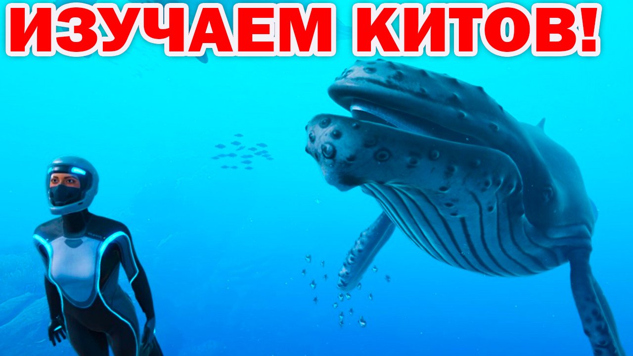 КИТЫ И ДЕЛЬФИНЫ! ПОДВОДНЫЙ МИР ОКЕАНА ДЛЯ ДЕТЕЙ!  Beyond Blue 2022 1 - СЕРИЯ