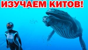 КИТЫ И ДЕЛЬФИНЫ! ПОДВОДНЫЙ МИР ОКЕАНА ДЛЯ ДЕТЕЙ!  Beyond Blue 2022 1 - СЕРИЯ