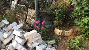 Замена масла на газели Некст с двигателем Камминс 2,8 от Газелистки.