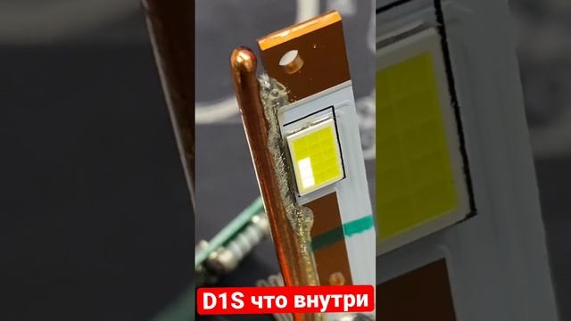 # D1S LED что находится внутри.