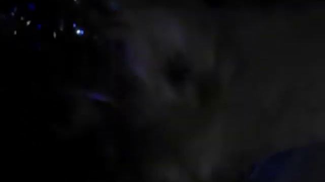 Собаке нравятся эти жевательные снеки!