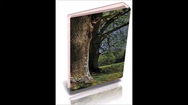 FotoПапка ВУЗ смотреть онлайн