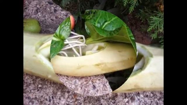 Мастер-класс.Осенняя композиция из подручных материалов смотреть онлайн