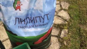 Газон после зимы.