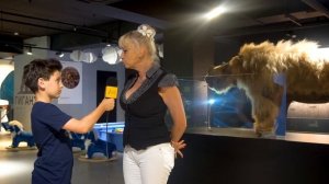 Музей мамонтов