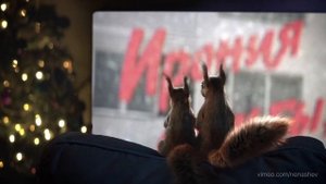 Все новогодние заставки первого канала белки #1-18