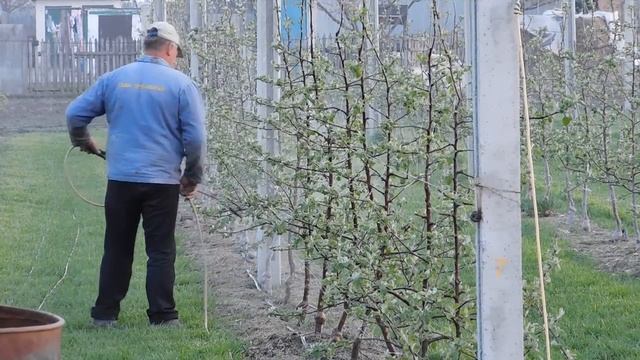 Обработка сада (опрыскивание) на приусадебном участке 1 000 деревьев смотреть онлайн