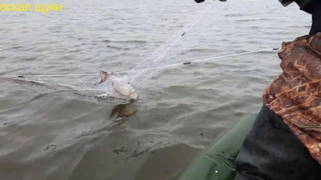 Рыбалка на сеть Карась,щука,сиг,ленок смотреть онлайн